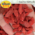 Baie de Goji Nutrious Biologique